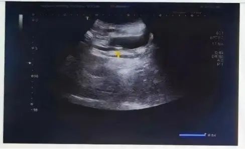 微信图片_20250504190159.jpg 微信图片_20250504190159.jpg