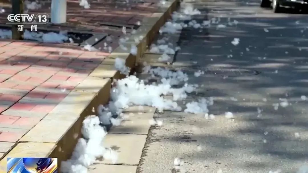 微信图片_20250511141236.jpg 微信图片_20250511141236.jpg